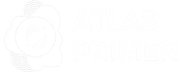 Logo 9